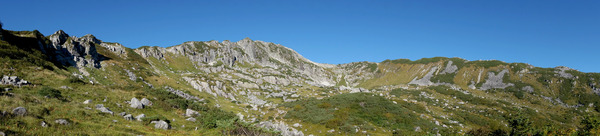 DSC08104