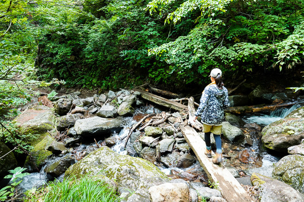 ORG_DSC05321