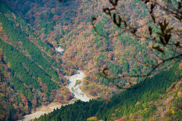 20171104-DSC05306