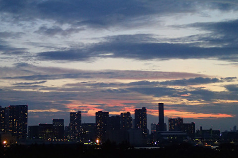 P7290132