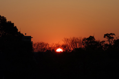 DSC09655