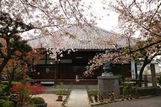 今年ばかりは墨染に 猫の兄弟と一緒に 今年ばかりは墨染に 猫の兄弟と一緒に