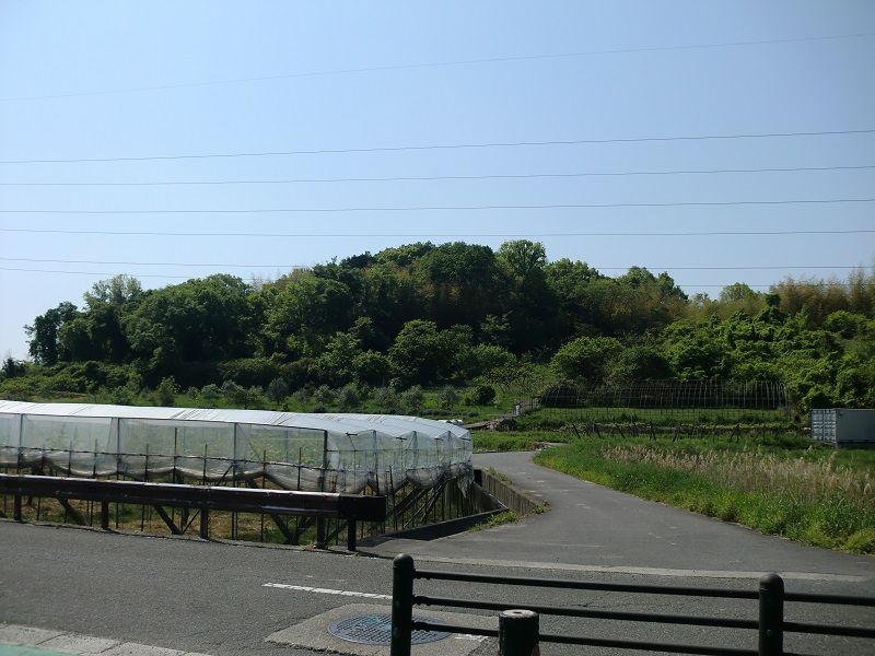 富郷陵墓参考地 伝山背大兄王の墓 3 Kumenonanatukahagiのblog 富郷陵墓参考地 伝山背大兄王の墓 3 Kumenonanatukahagiのblog