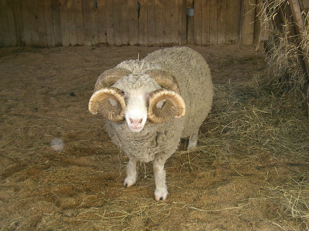 ウィロウバンク動物公園 I Move On