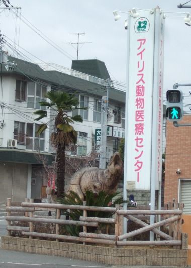 白猫クミちゃんお散歩日記                        ぽっぴい