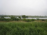20100523-7松戸宿対岸