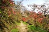 20100419吾妻山公園