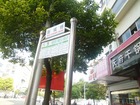 20111012通学路96