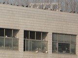 鳩2