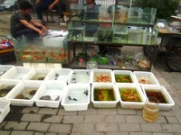 20110617五馬祠街7