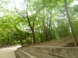 20110504後宮3