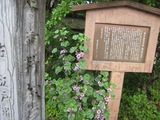 20100523-7松戸宿