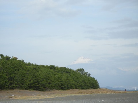 DSCN3220