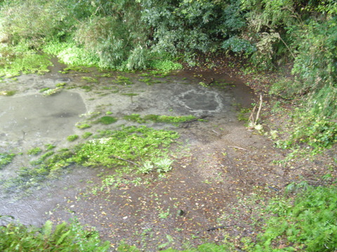 DSCN3239