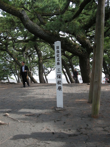 DSCN3223