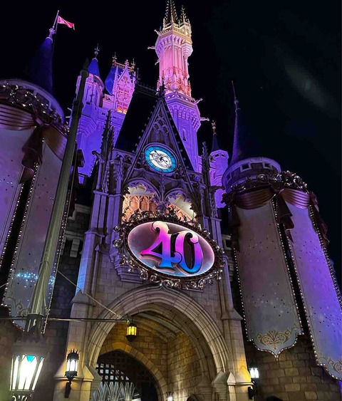ディズニー ハッピーエントリー チケット 2024/11/03（10年ぶり