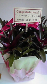 2011040814170000