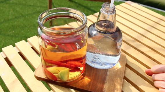 初めての方の家庭菜園 伊東市広野シティ 初心者のための情報１４ 無農薬栽培のための家庭菜園手作り虫よけスプレー Kumikocatsのblog