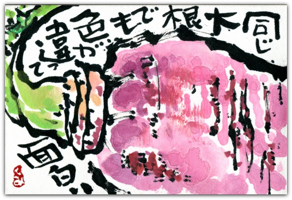 はがきサイズ絵てがみ 同じ大根でも色が 友部久美子の絵てがみブログ