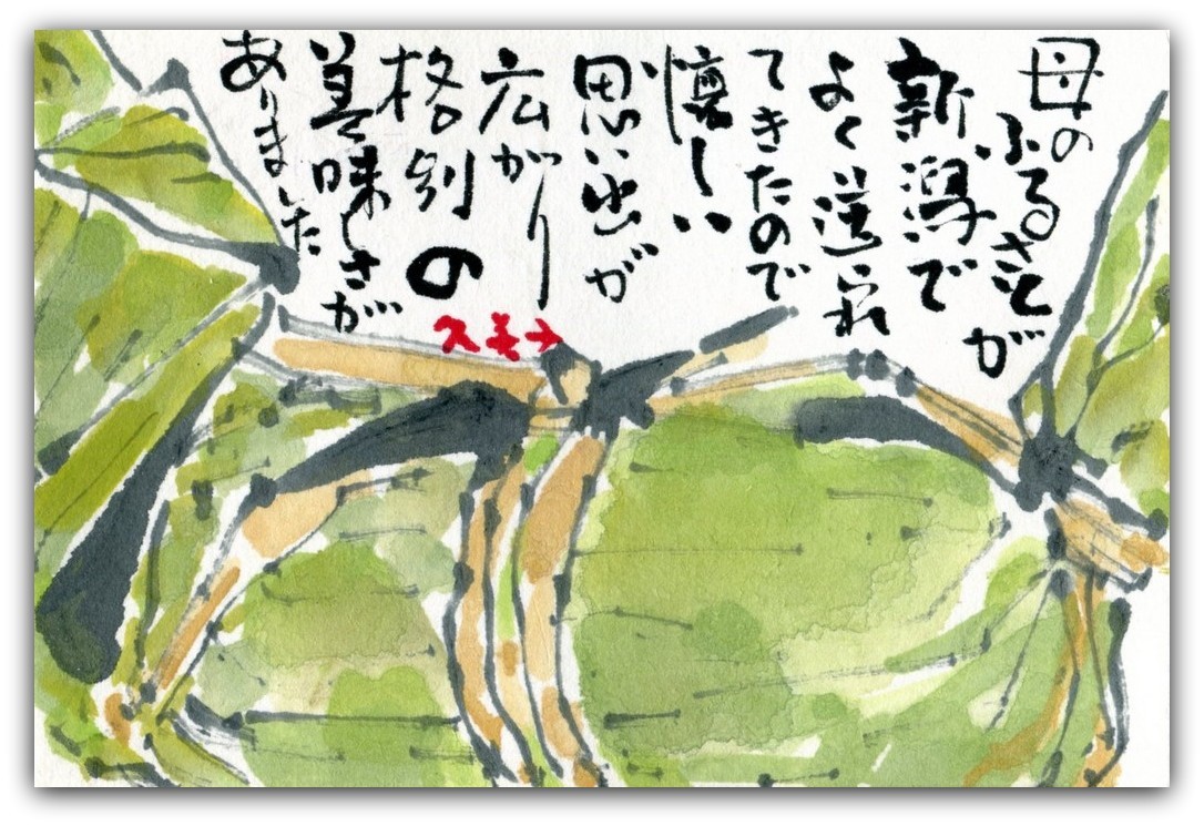 はがきサイズ絵てがみ 笹団子 友部久美子の絵てがみブログ はがきサイズ絵てがみ 笹団子 友部久美子の絵てがみブログ