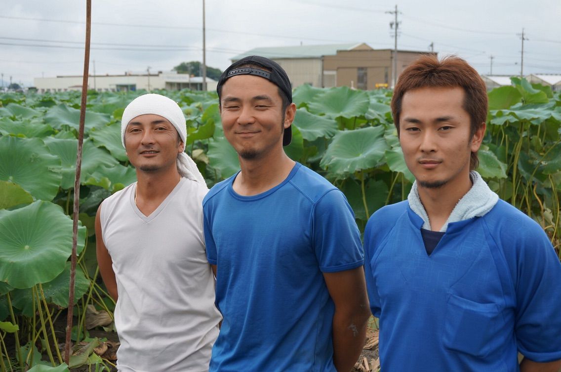 山三レンコンさん取材 収穫体験 愛西市 旧立田村 佐藤久美子の しなやかに生きる Blog