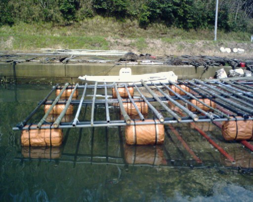 牡蠣筏作り 京丹後 久美浜 時の宿 まつだｂｌｏｇ