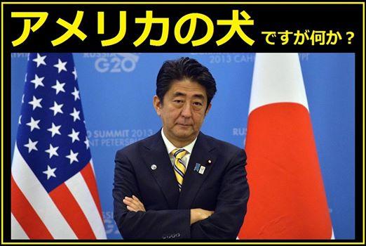 イメージ 6