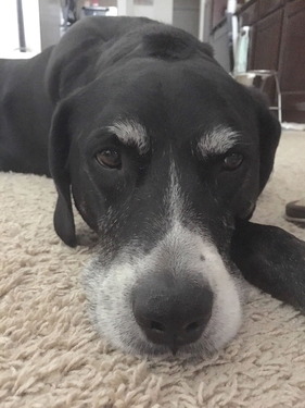 2018_0514のコピー