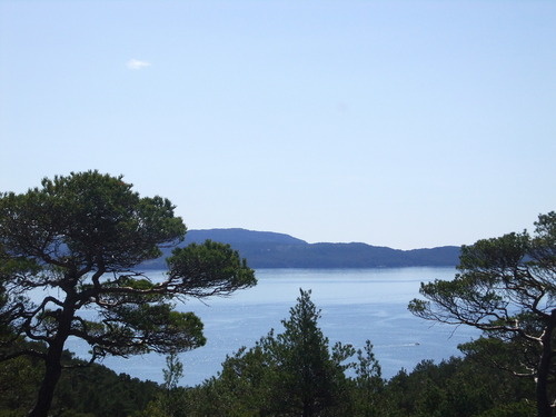 DSCF1961