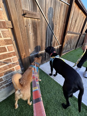 BEC6FED5-E7F3-4586-89FA-386A4312B3CD