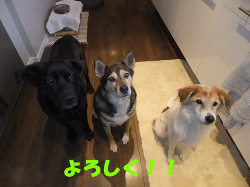 DSCF1218