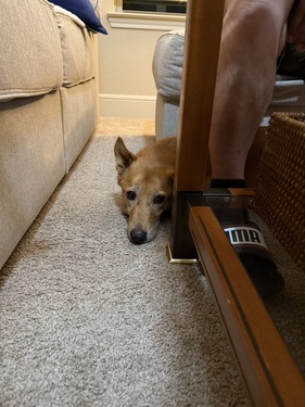 S__4358187_0