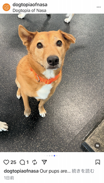 IMG_3517のコピー