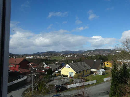 DSC02513