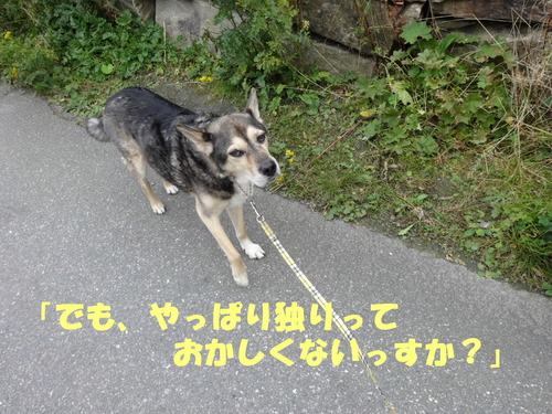 DSC03924