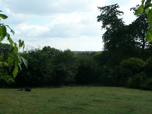 37716d1f.jpg