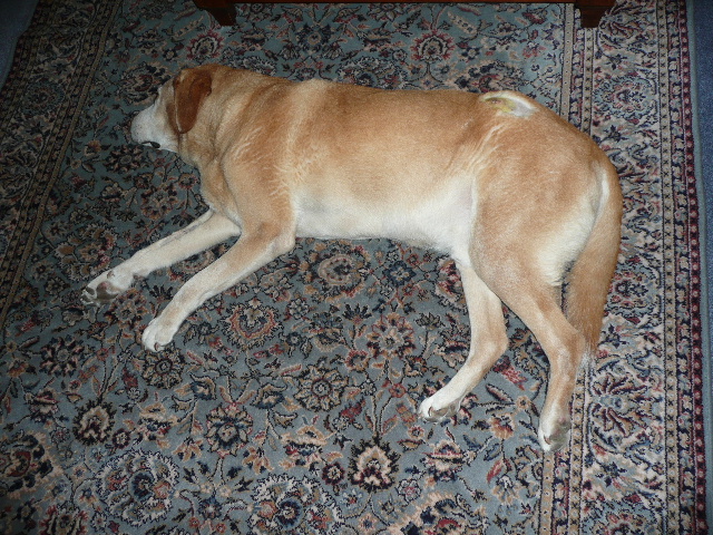 3e73c7b3.jpg