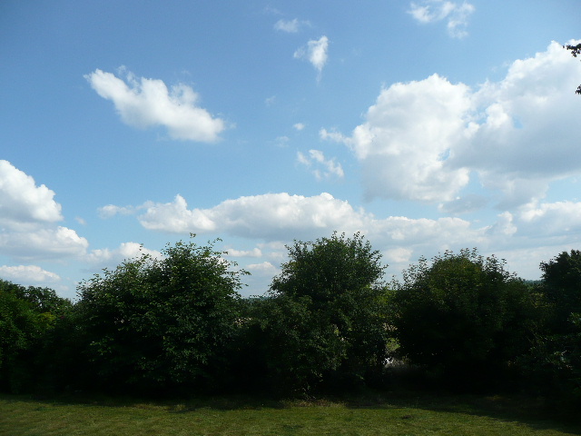 3f8669cd.jpg