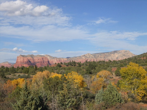 DSCF0875