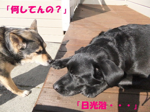 DSCF9590
