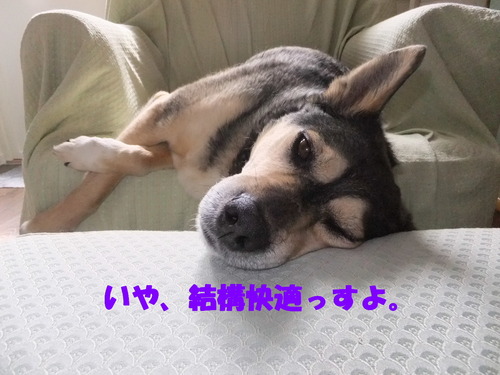 DSCF9758