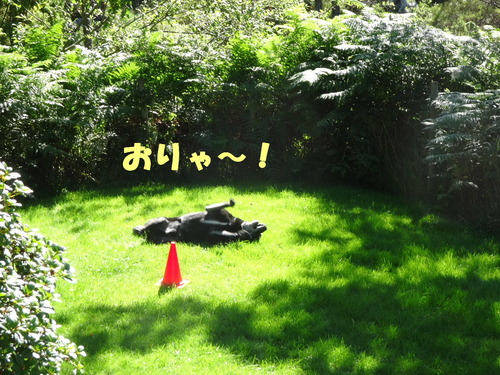 DSC03564