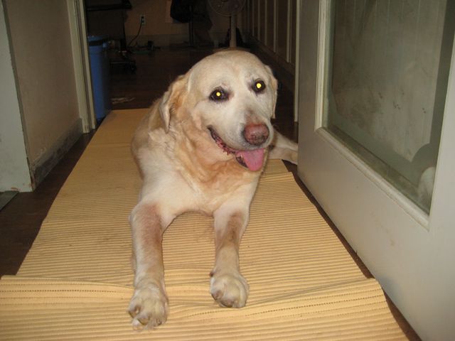 583014b0.jpg