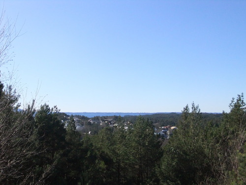 DSCF3416