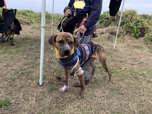 IMG_9474のコピー