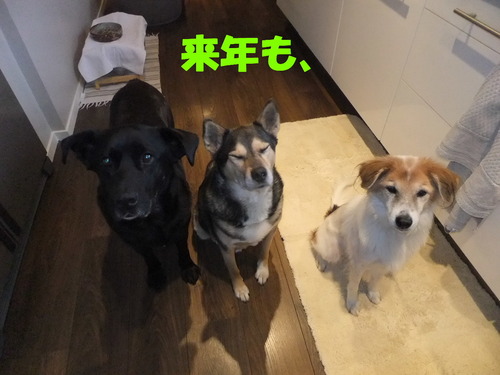 DSCF1217