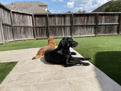 IMG_0066のコピー