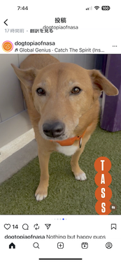 IMG_3673のコピー