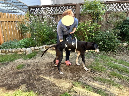 IMG_2616のコピー