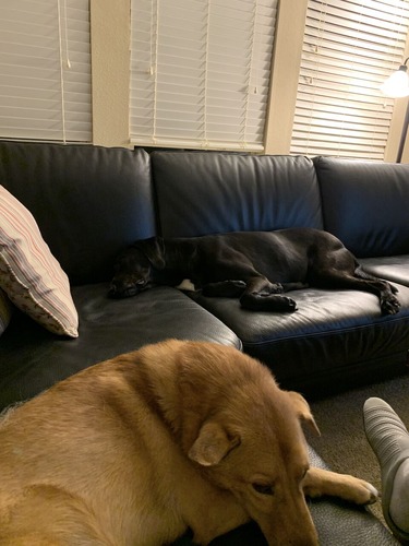 IMG_1074のコピー